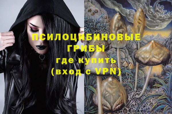 твердый Ахтубинск