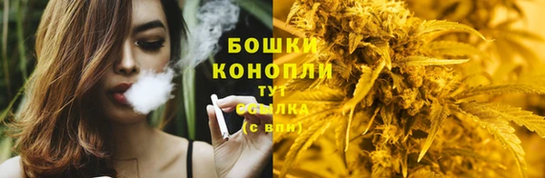 сатива Бабаево