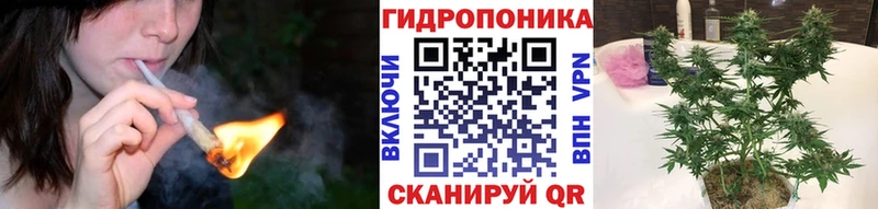 Бошки марихуана VHQ  дарнет шоп  Белокуриха 